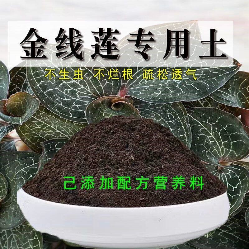 金线莲专用土盆栽有机花土种