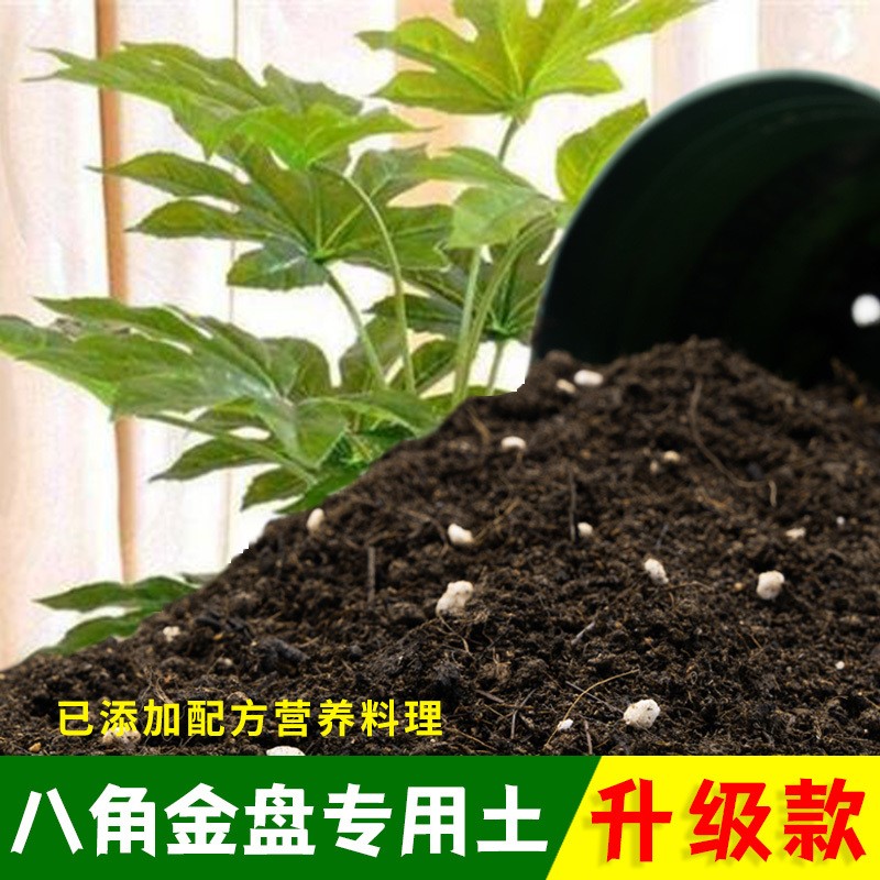 八角金盘专用土八角金盘营养土有机土肥料家用种植土盆栽种花泥土
