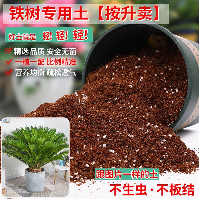 铁树专用土轻质土营养土透气通用土壤养花泥土家用种植土有机肥料