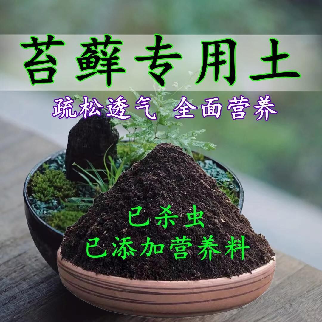 苔藓土苔藓专用土盆栽盆景营养土酸性沙质土壤家用绿植种植土肥料