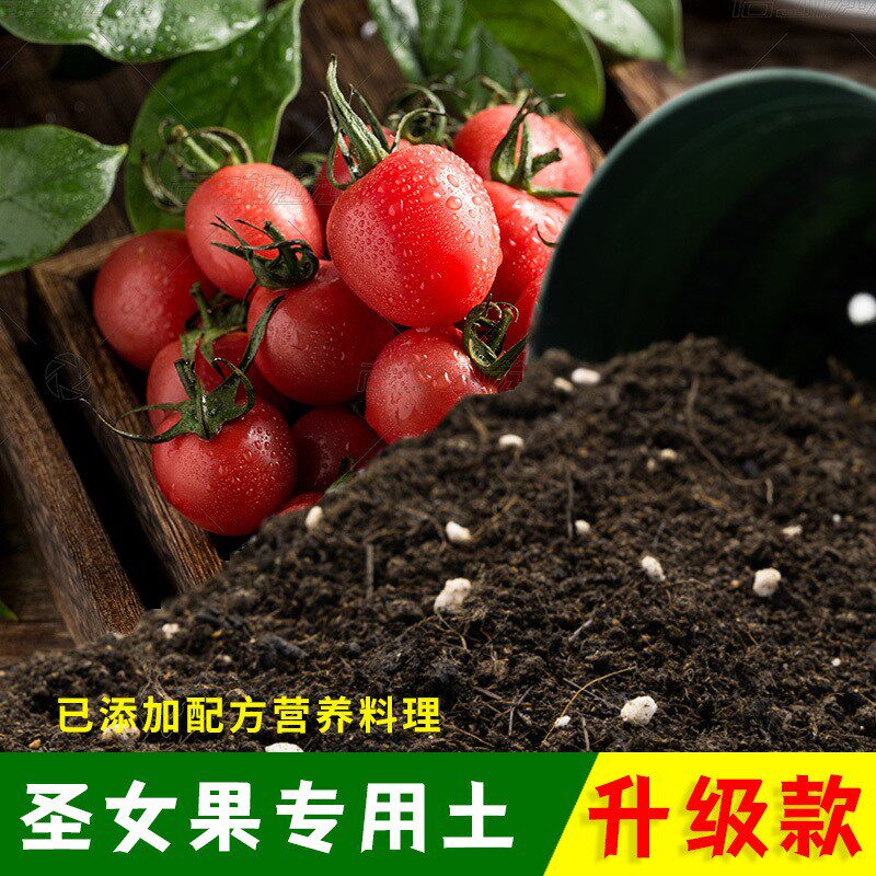 圣女果专用土有机土肥料家用种植土圣女果营养土盆栽养花通用包邮