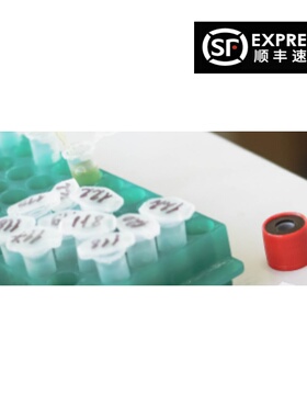 9L/lacZ细胞库TCR13大鼠胶质肉瘤细胞胶质细胞脑疾病