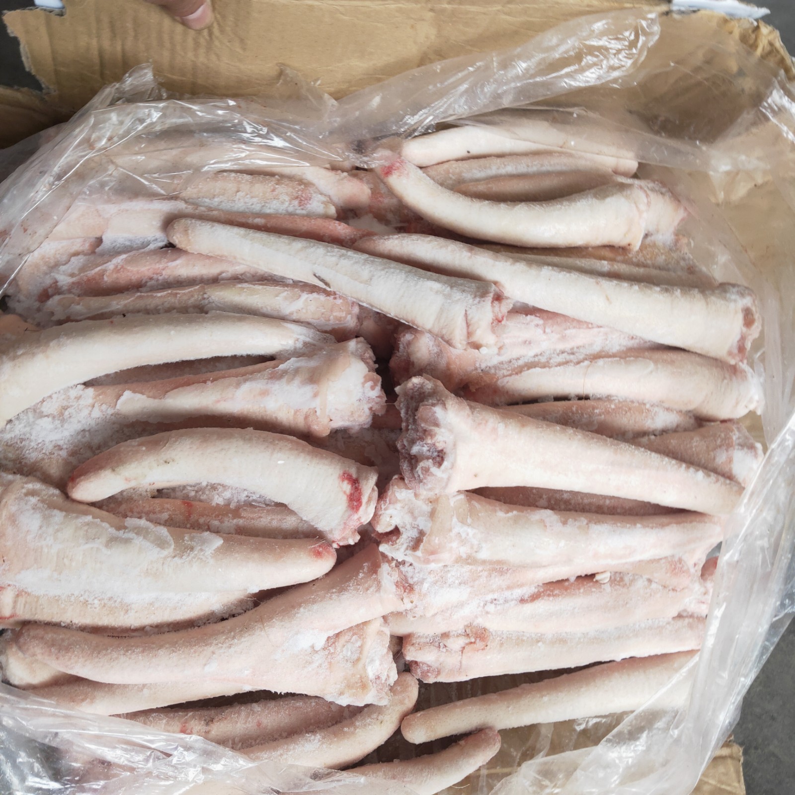 冷冻新鲜猪中尾猪长尾巴猪短尾猪尾巴 20斤一箱 物美廉价欢迎选购