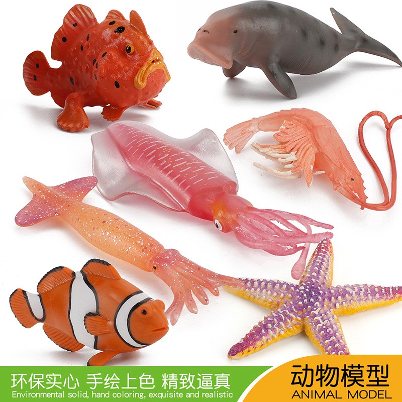 儿童认知海洋生物海鲜模型玩具鱿