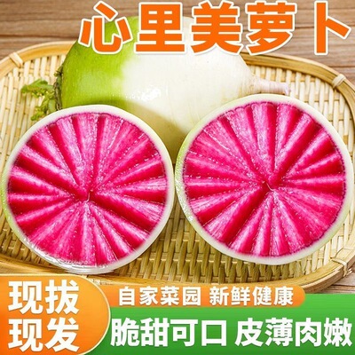 新鲜心里美萝卜满堂红萝卜山东水果萝卜绿皮红心胭脂萝卜