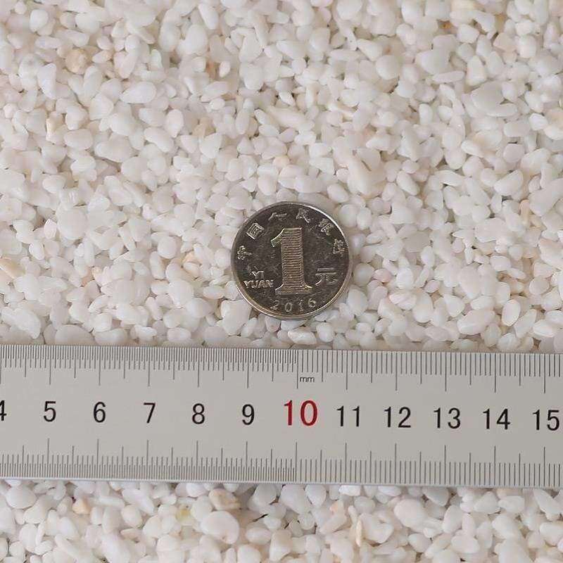 植物鹅卵石小装饰品种花养花石头粒石子种植白色养鱼兰花造景