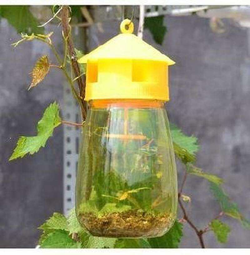 瓜场菜园瓶花园灭番茄神器捕蝇器除虫果实丝瓜室外诱捕器苍蝇实用