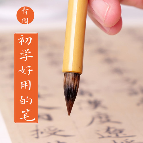 青园小楷毛笔弹性好、更适合初学