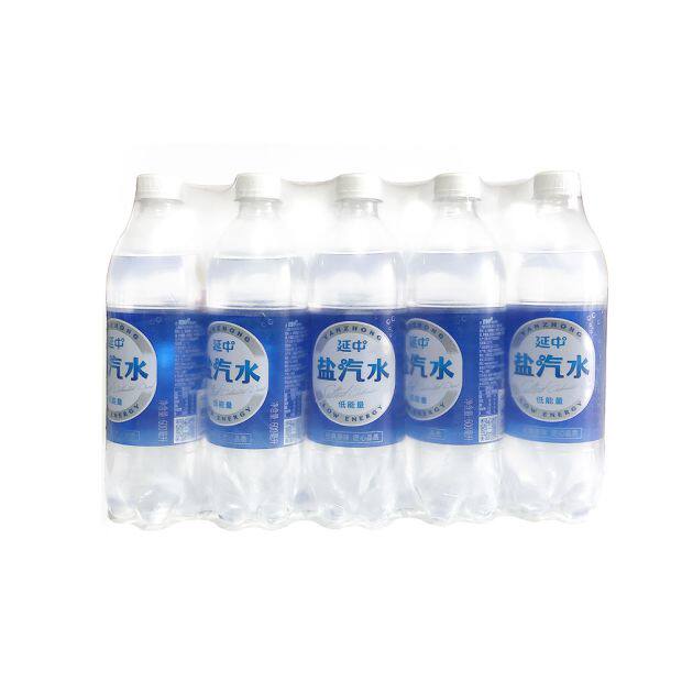 10箱 延中盐汽水600ml*20瓶/箱 整箱装 上海送货上门