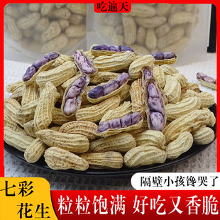 七彩花生龙岩咸干湿烤水煮白晒带壳熟新鲜福建特产零食