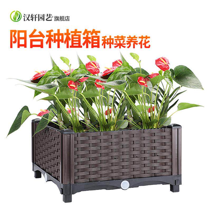 阳台种菜箱懒人花盆家庭楼顶种菜大组合蔬菜种植箱室内种植盆