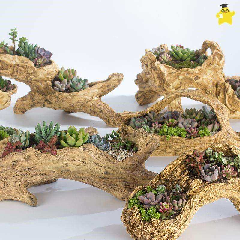 造型独特的花盆创意异形花盆艺术多肉缺口花园庭院养花阳台个性盆