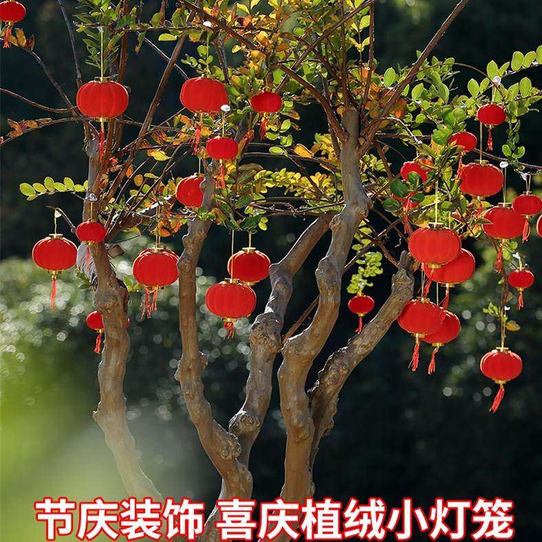 环境挂在树上的小红灯笼挂串大红灯笼婚礼庆典开业庆典气氛悬吊式