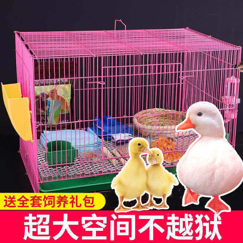 鸭笼子家用养小鸭子小鸡专用窝宠物柯尔鸭饲养大别墅加密围栏室内