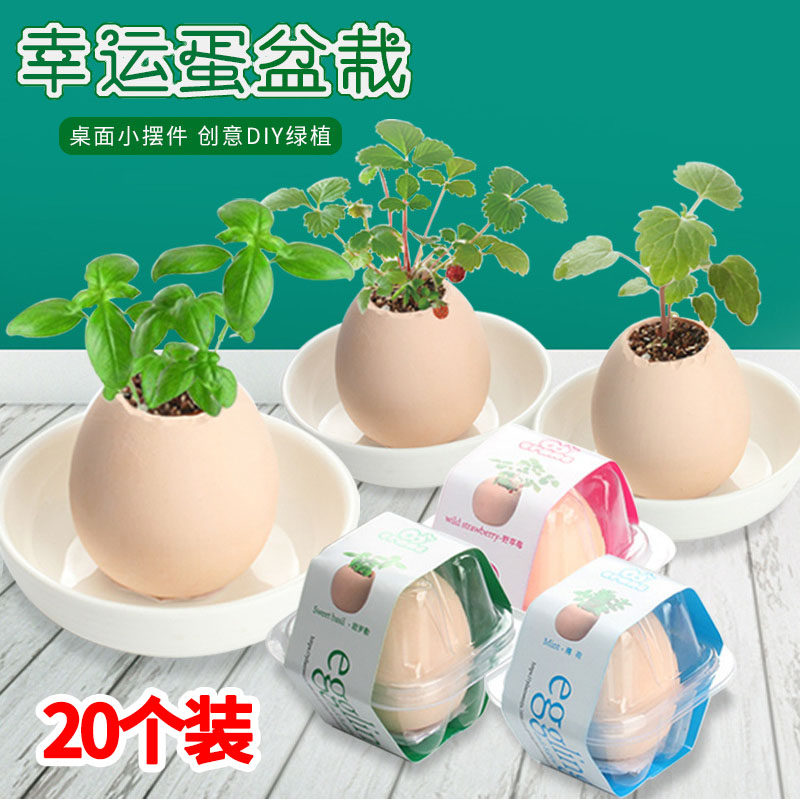儿童创意小盆栽小礼品奖品开学