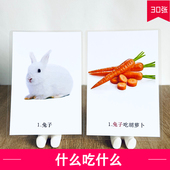 什么吃什么 动物食物配对发育迟缓自闭症ABA认知训练学校个训卡片