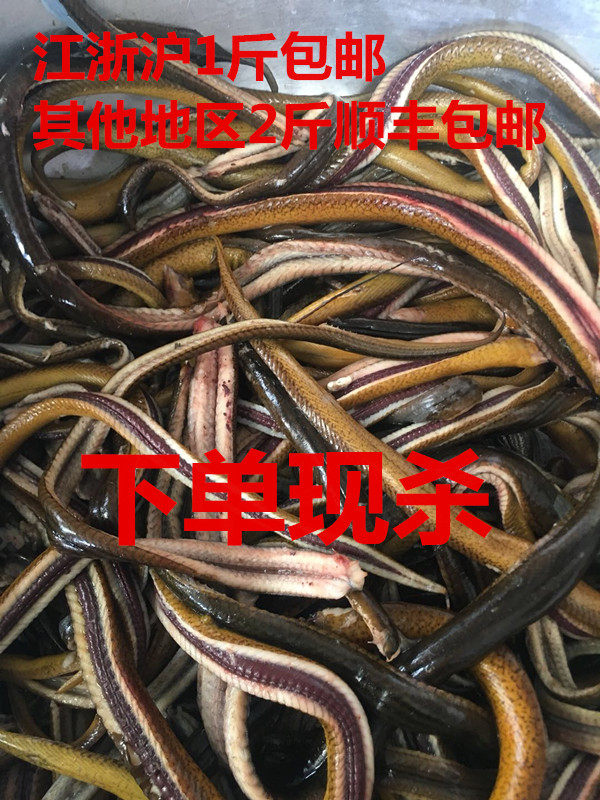 洪泽湖黄鳝黄鳝丝长鱼肉长鱼丝净重500g江浙沪皖一份顺丰包邮