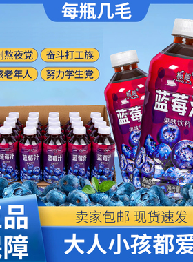 无糖饮料蓝莓汁整箱批300ml*6/12瓶蓝莓果味饮料水果汁饮用饮品