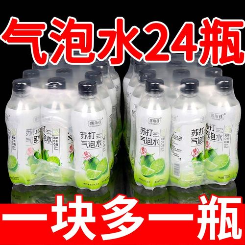 气泡水工厂直发新品特惠夏季解渴