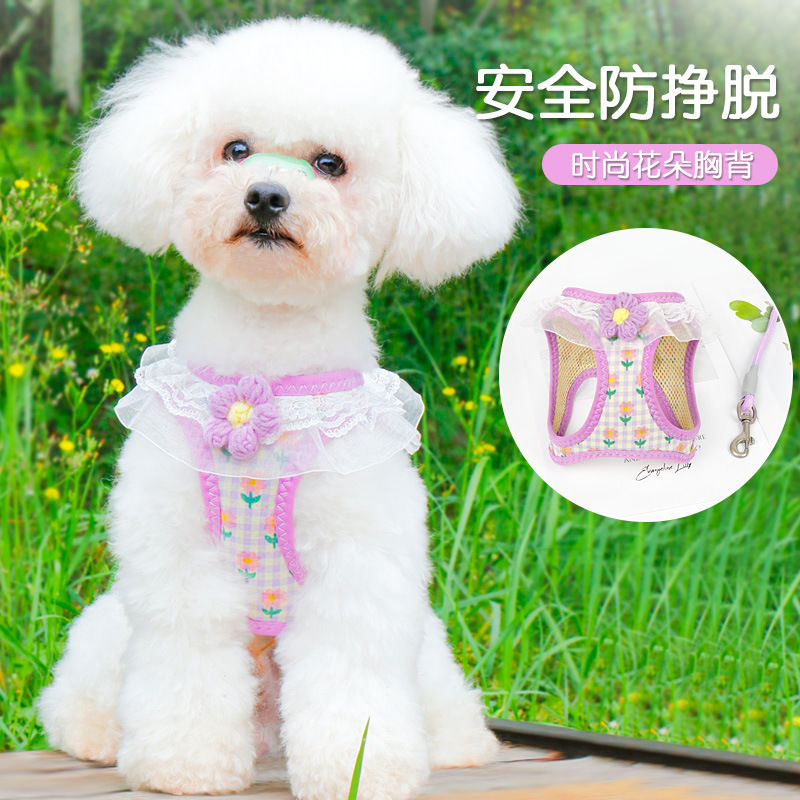 碎花猫咪狗狗小型犬牵引绳防挣脱