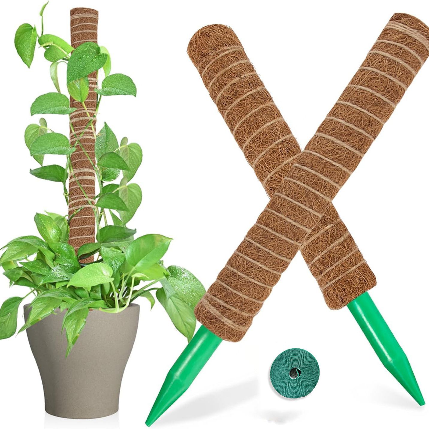 龟背竹支撑杆绿萝柱固定支架棕柱椰棕棒棕榈柱植物定型园艺爬藤柱