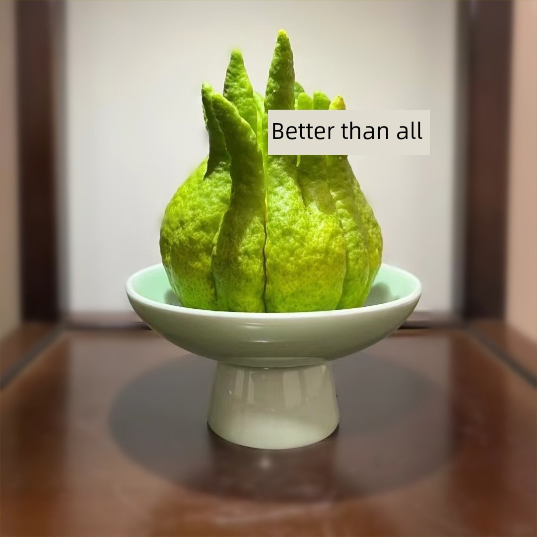 佛手柑花瓶器具托盘中国覆古放置装饰佛像手休息盆花卉种植容器板