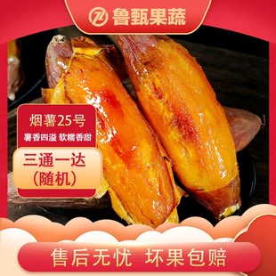 5斤 烟薯25号3 1箱 单果150g 11根 约5 鲁甄