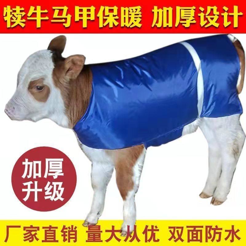 小牛防寒外套犊牛马甲牛犊衣服保暖防寒牛犊马甲小牛衣服新生牛衣,畜牧/养殖物资,养殖用具,淘宝优惠券,粉丝福利购,淘宝优惠卷