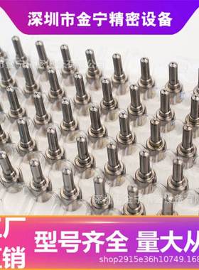 P系列共轨电喷喷油嘴 L126PBB适用于德尔福系列油头 零售