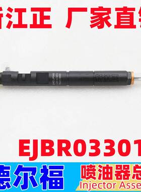 适用于德尔福喷油器 喷油嘴 EJBR03301D喷油器配件