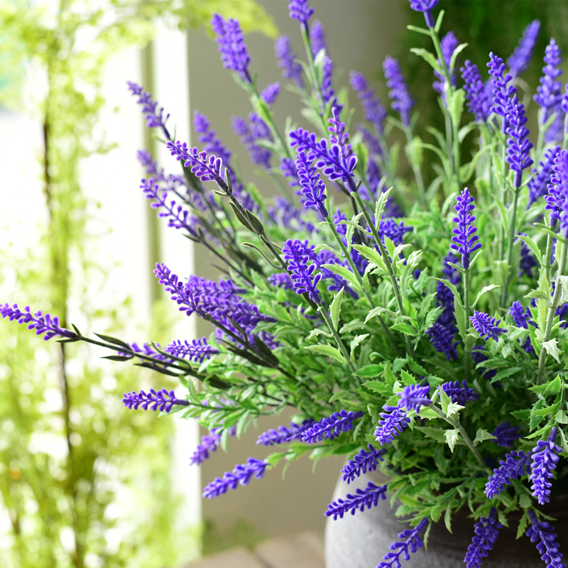 薰衣草普罗旺斯客厅卧室干花花艺