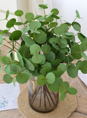 手感尤加利叶仿真花摆件ins绿色叶子金钱叶干花客厅室内假花摆设