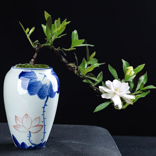 新品特价绿植小花盆陶瓷简约青花瓷手绘家用迷你小创意签筒悬崖桩