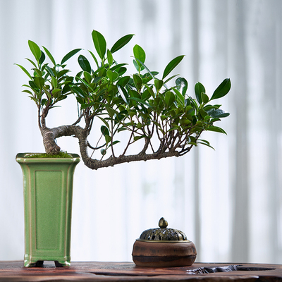 高温陶瓷手工冰裂签筒花盆