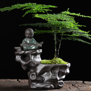 多肉花盆创意个性陶瓷紫砂透气微景观盆古典桌面小号花器文竹盆栽