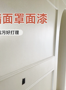 三青内墙罩面漆室内墙固墙面乳胶漆自刷保护防水透明水性哑光清漆