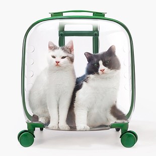 宠物拉杆箱猫咪外出行李箱太空舱C猫包狗箱子宠物小推车两只猫书
