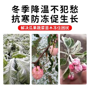 植物防冻剂抗寒抗冻果树蔬菜花卉苗木大棚通用倒春寒抗冷防冻液