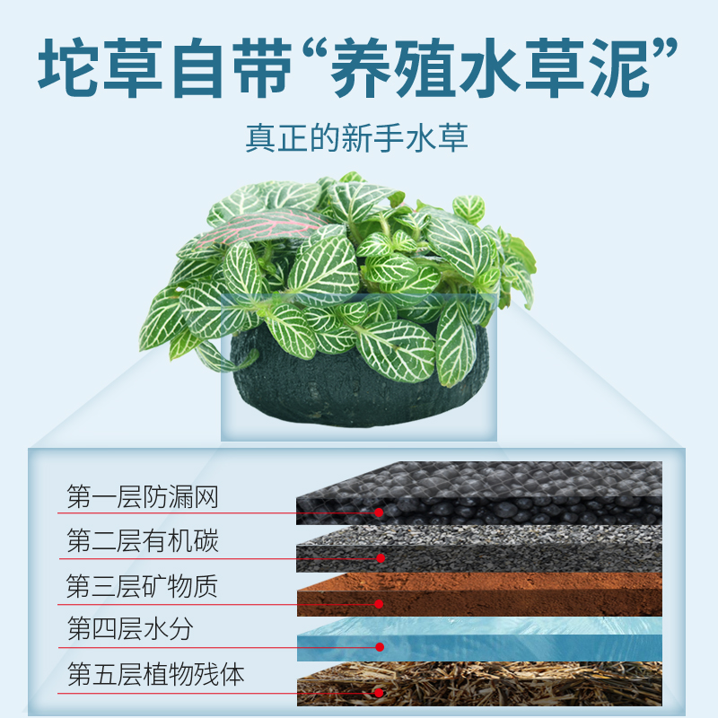 鱼缸水草植物真草缸n造景套餐x成品前景爬地珍珠新手鱼缸装饰套餐