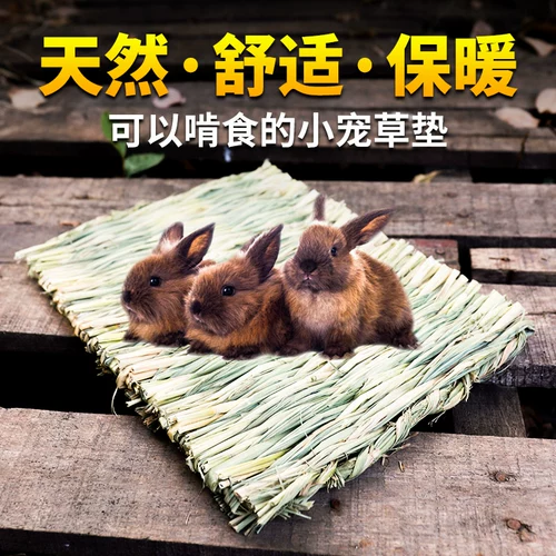 Кролик и кролик ставят голландские свинины Тоторо Голубь Голубь Голубь Голубь Клетка Подушка для кролика подушка подушка подушка