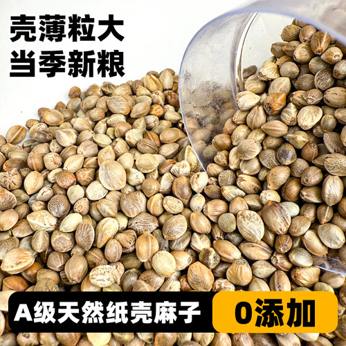 深深宠鹦鹉纸壳麻子大颗粒
