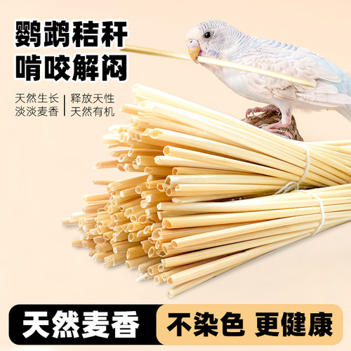 深深宠鹦鹉解闷自嗨玩具磨牙麦秆