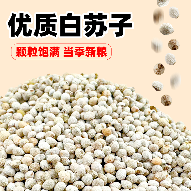 深深宠鸟食白苏子新鲜好吃