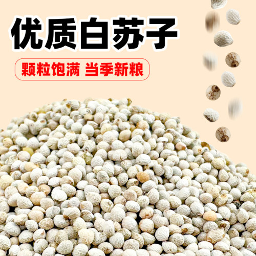深深宠鸟食白苏子新鲜好吃
