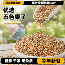 鸟粮虎皮牡丹玄凤中小型鹦鹉鸟食饲料五色黍子鹦鹉混合粮谷子粮食