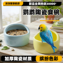 鹦鹉食盒食碗喂食器陶瓷小碗食盆鹦鹉碗小鸟食罐喂鸟器防溅吃饭碗