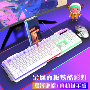 办公游戏电竞笔记通用USB外设电 双飞蛇有线键盘机械手感键鼠套装