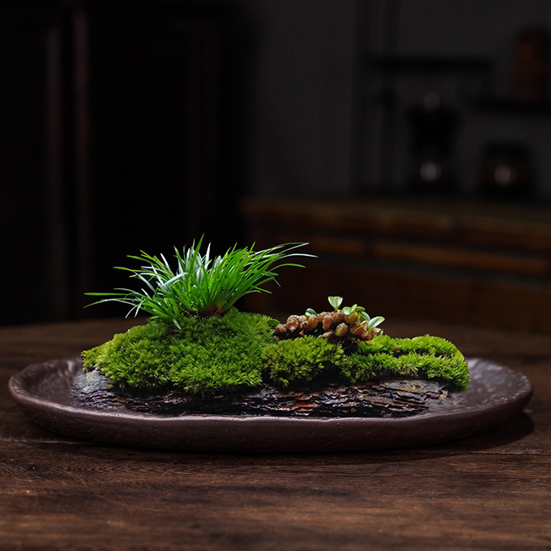 苔藓吸水石盆器盆景盆长方形菖蒲假山上水石水培紫砂陶瓷底盘盆栽 鲜花速递/花卉仿真/绿植园艺 花盆 原图主图