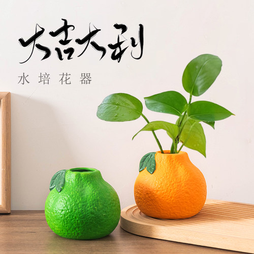 陶瓷花瓶仿真橘子绿萝专用水培花盆家用客厅桌面装饰创意绿植器皿