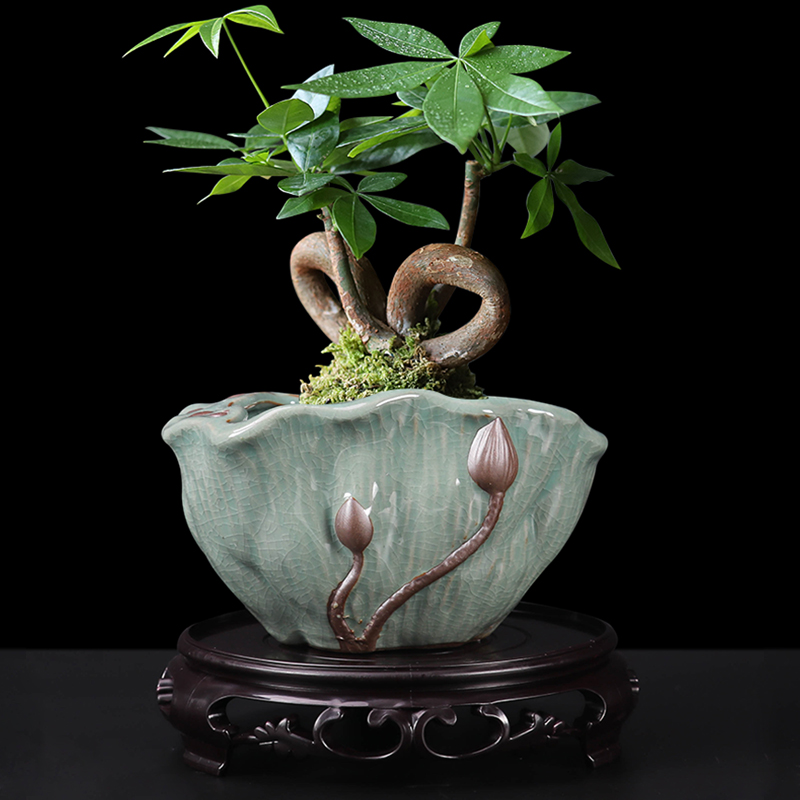 陶瓷中式文竹发财树花盆石斛专用